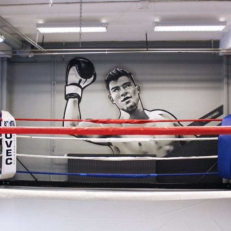 Fight Academy BatArtworks