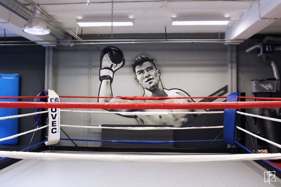 Fight Academy BatArtworks