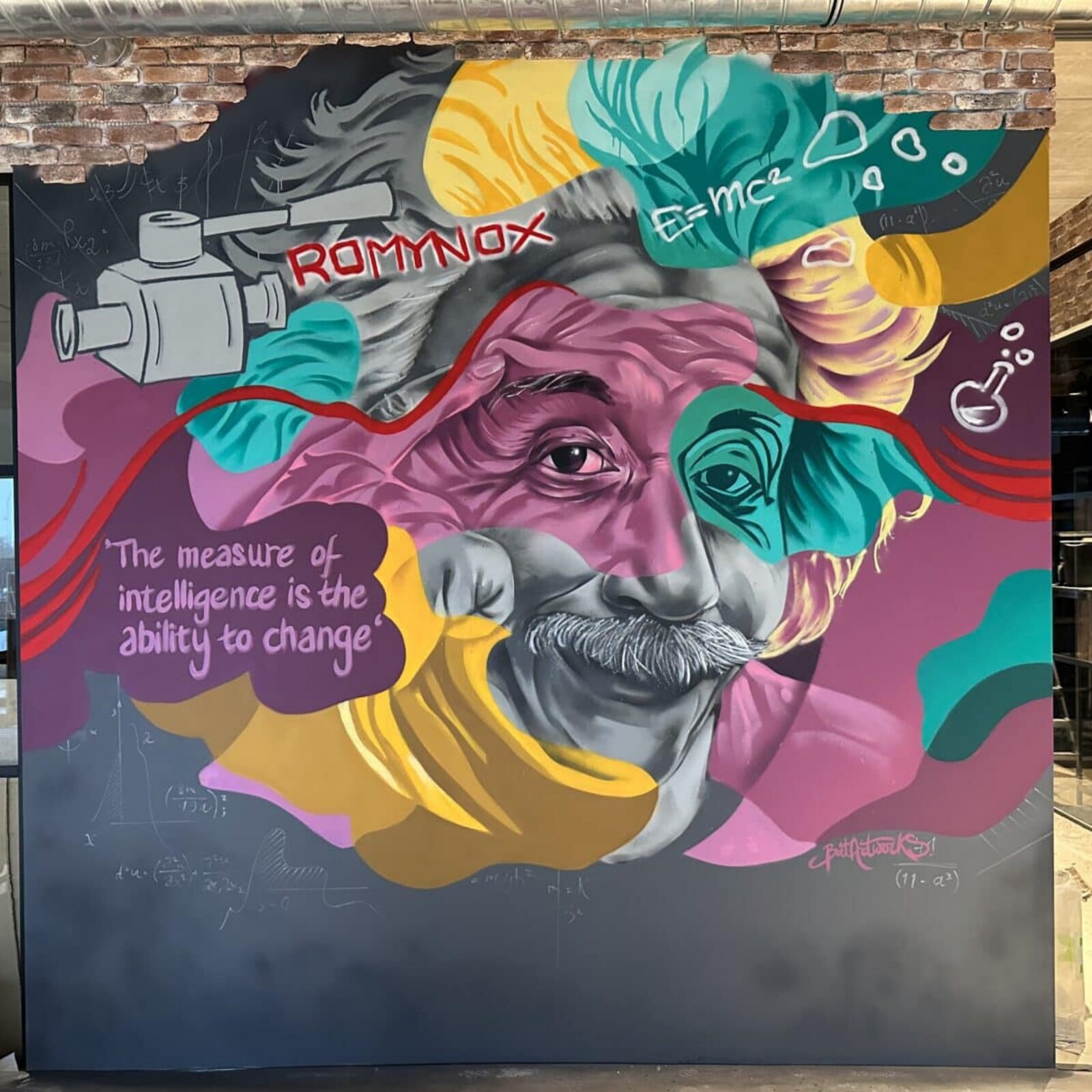 Graffiti artiest BatArtworks - Einstein
